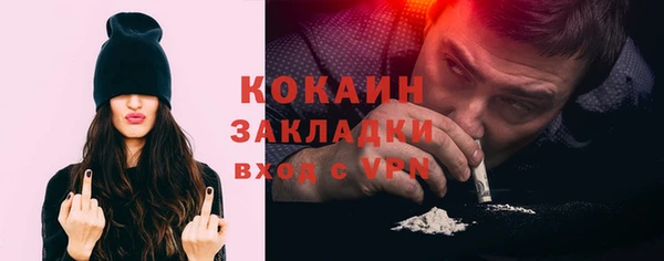 крисы Осинники
