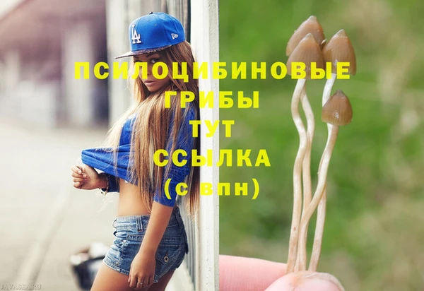 крисы Осинники