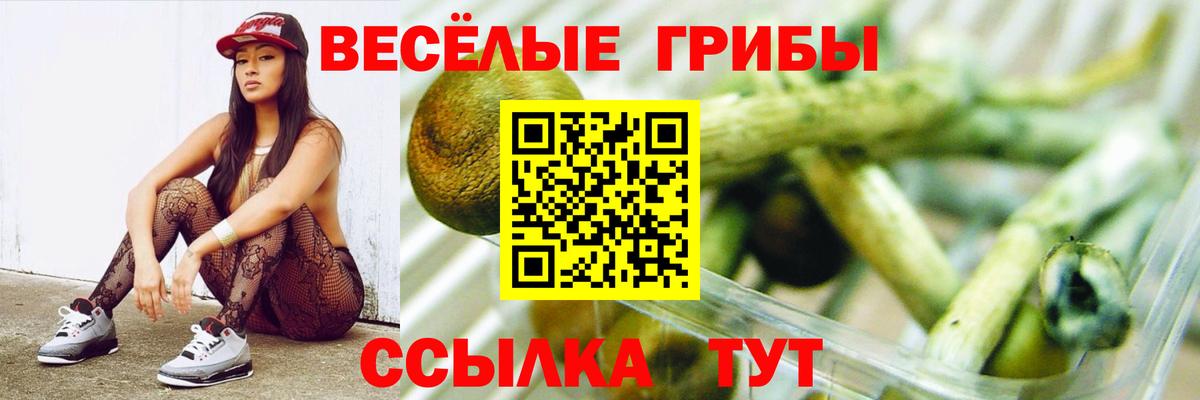 Псилоцибиновые грибы MAGIC MUSHROOMS Екатеринбург
